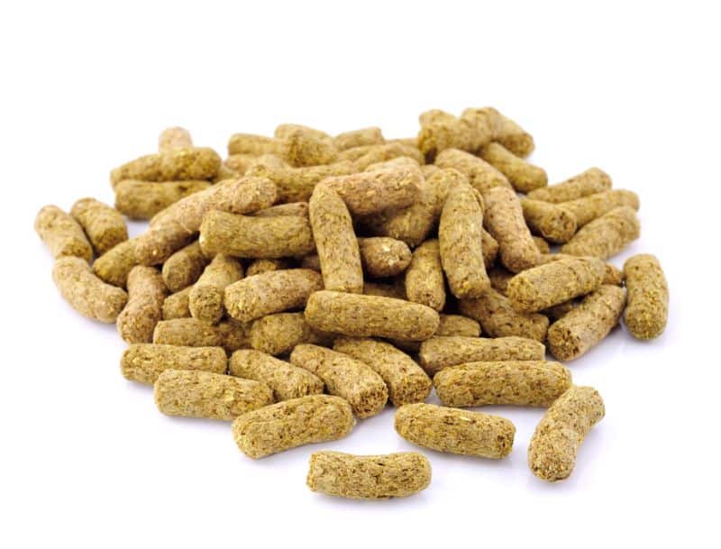 rabbit pellets on a table as the owner wonders "Can Hamsters Eat Rabbit Food "