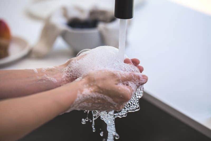washing hands after eating can prevent hamster bites