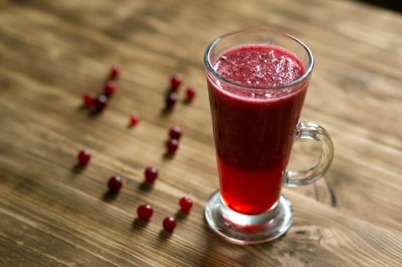 fresh cranberry juice in a glass but Can Hamsters Drink Cranberry Juice