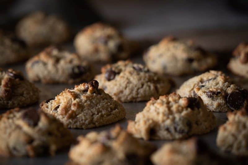 fresh cookies can lead to questions like "Can Hamsters Eat Cookies?"