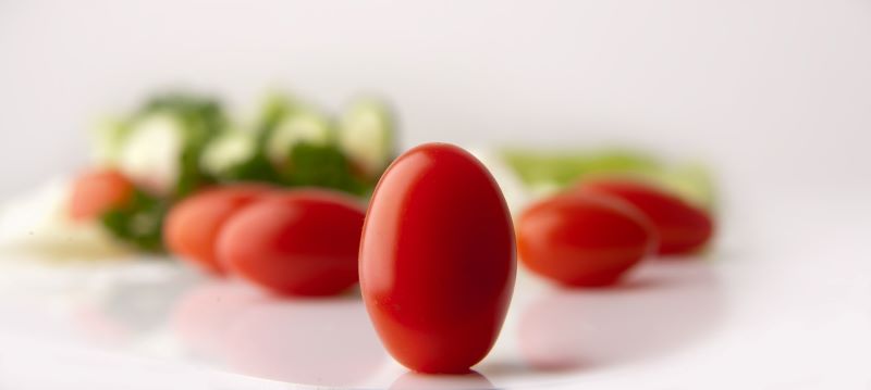 fresh grape tomatoes makes you wanna know "Can Hamsters Eat Grape Tomatoes?"