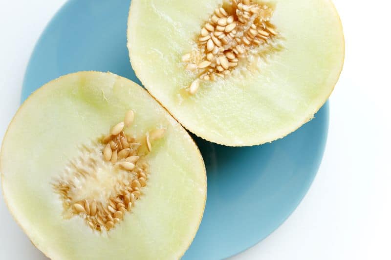closeup view of honeydew sends as hamster parents ask "Can Hamsters Eat Honeydew Melon Seeds?"