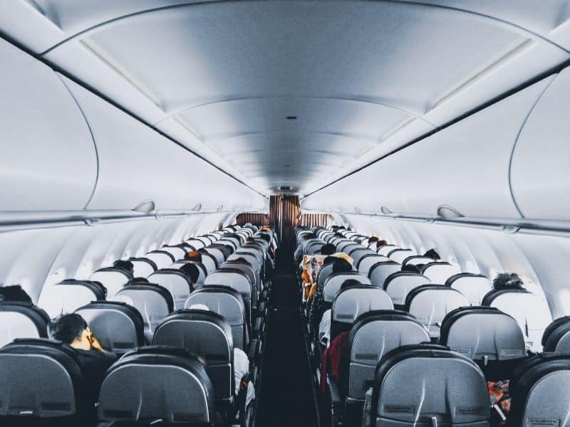 the inside of an airplane as hamster owners contemplate "Can Hamsters Fly On Planes?"