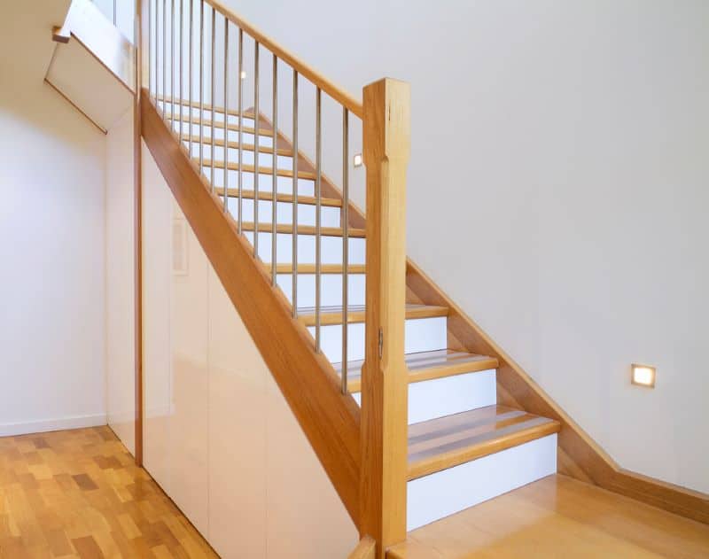 hamsters may not be able to move after accidental staircase falls