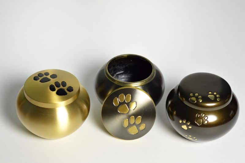 fancy urns on display as a hamster parent wonders "can hamsters be cremated?"