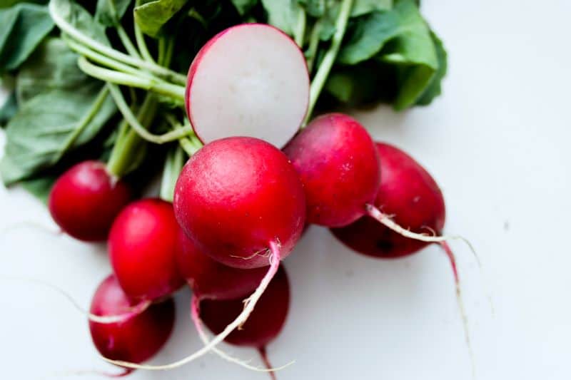 fresh radishes leads to questions like "can hamsters eat radishes?"