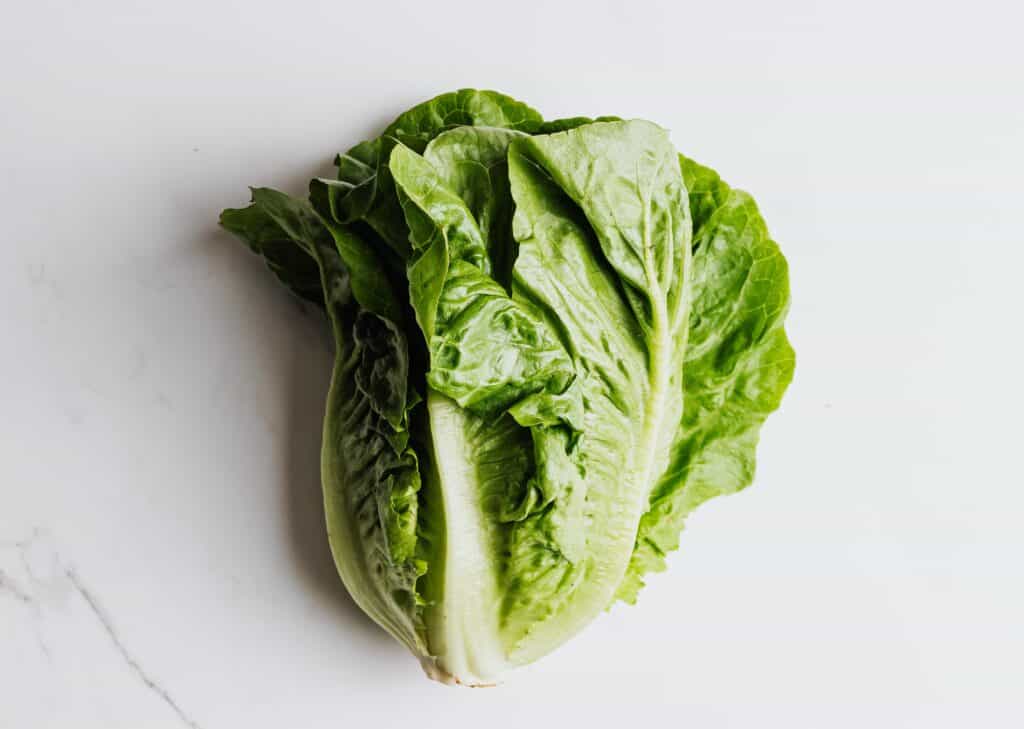 romaine lettuce on transparent background as hamsters owners wonder "can hamsters eat romaine lettuce?"