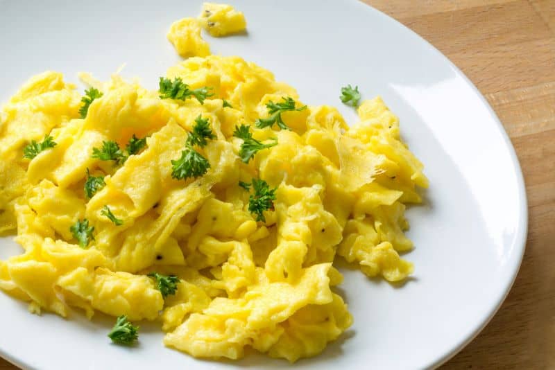 fresh scrambled eggs on a plate as hamster parent asks "can hamsters eat scrambled eggs?"
