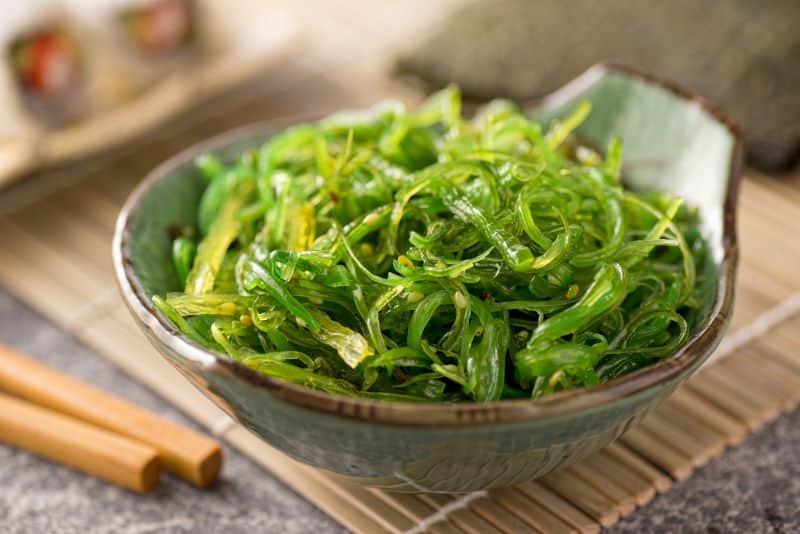 plate of seaweed salad triggers questions like "can hamsters eat seaweed?"