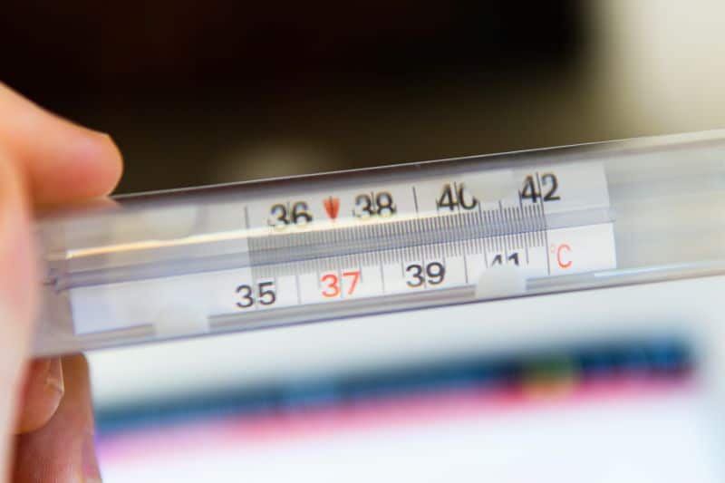 decreased temperature can reduce hyperactivity in hamsters