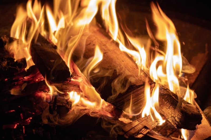 burning firewood for cremating hamsters