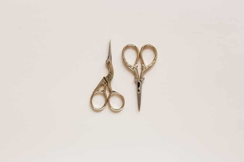 scissors for trimming hamster's nails manually