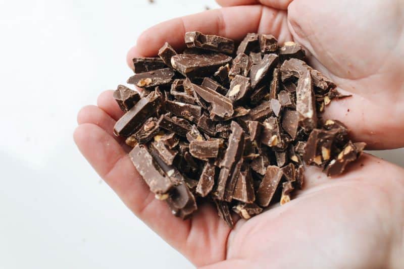 milk chocolate in the palms of a human