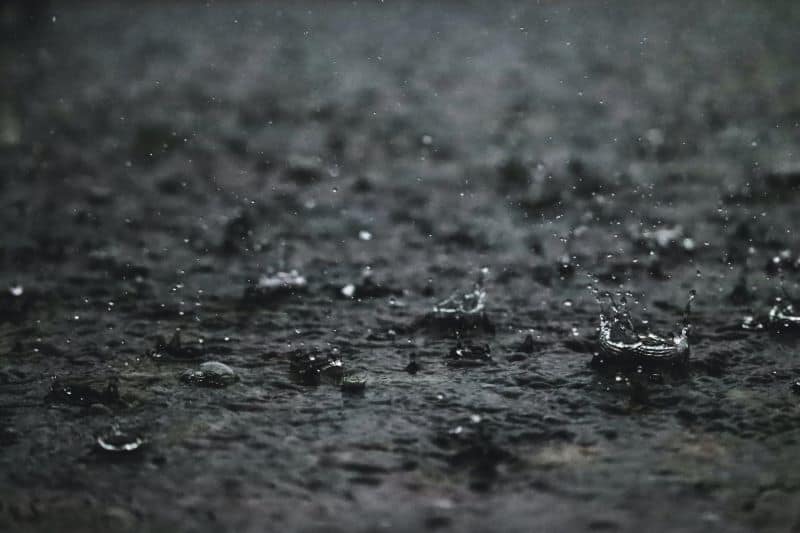 falling rain makes it impossible for burying dead hamsters
