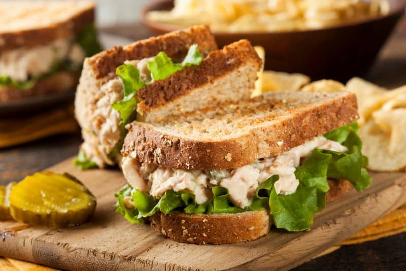 tuna mayo is delicious but can hamsters eat tuna mayo?