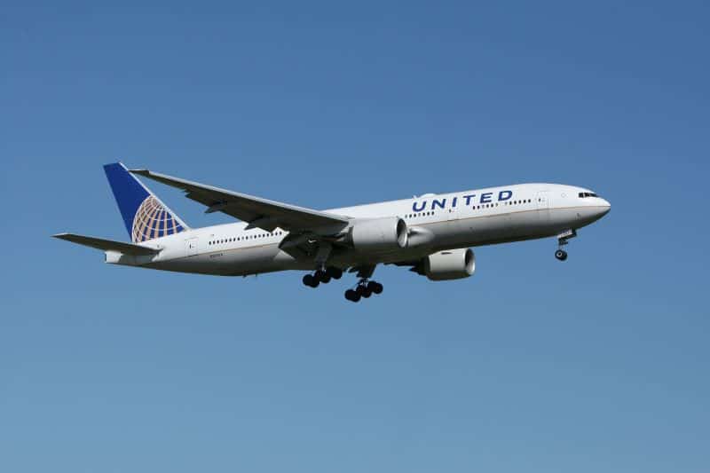 United Airlines in the sky - a hedgehog-friendly airline