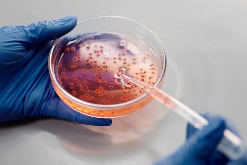 bacteria on glass