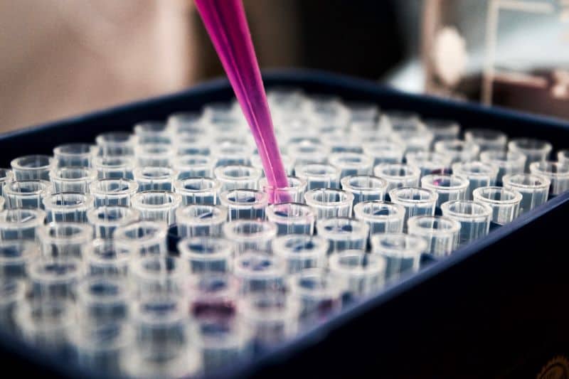 dna tests in a lab
