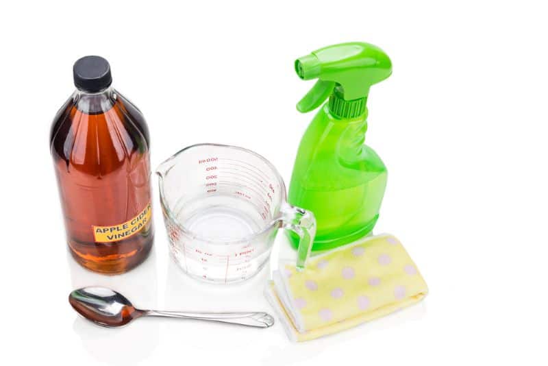 vinegar and sponge for cleaning hedgehog wheels