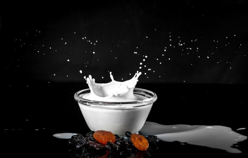 bowl of milk with nuts in the background but Can Hedgehogs Drink Milk?