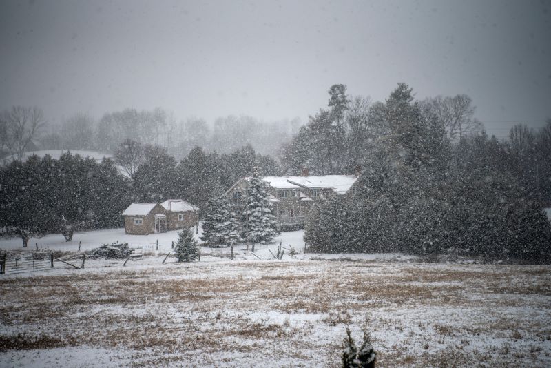 snowy outdoors during winter
