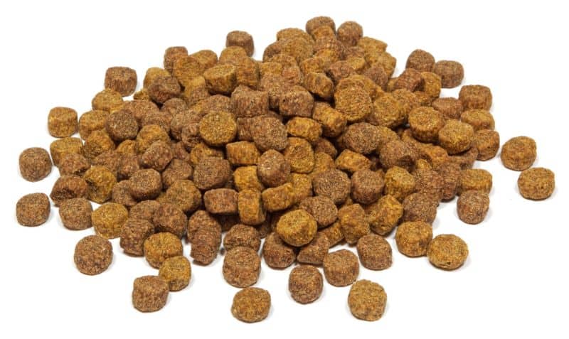 large dry dog food chunks