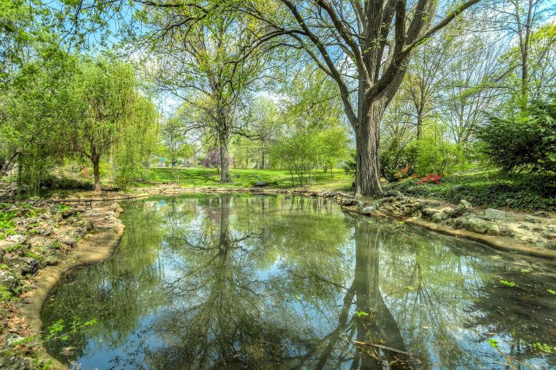 pond of water in a park