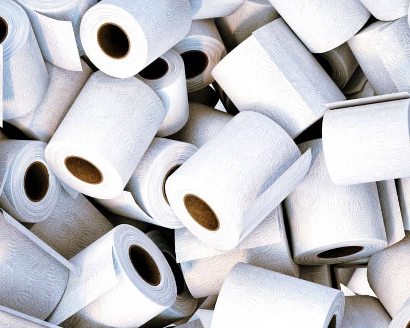 rolls of unused toilet paper