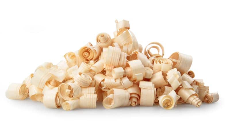 cedar shavings on a plain background