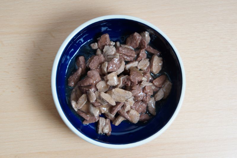 wet cat food for hedgehogs
