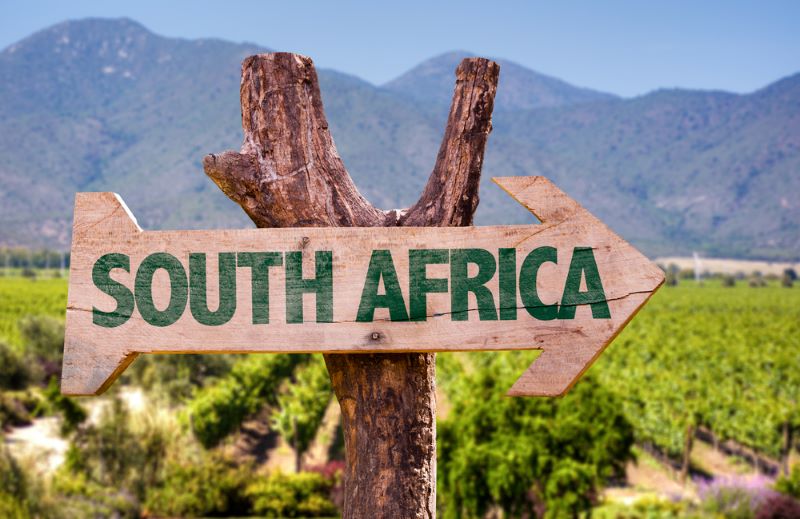 south Africa where the southern African hedgehog originates from