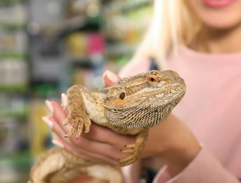 blonde woman holds a bearded dragon